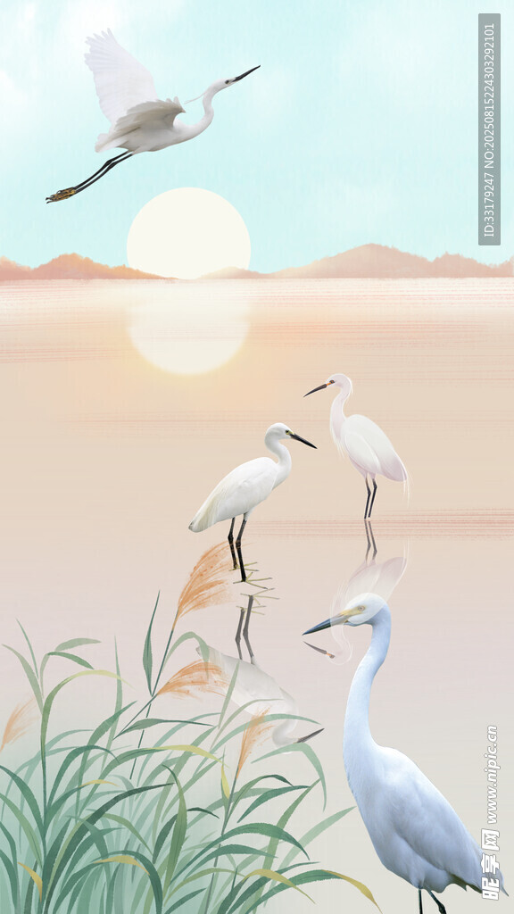 湿地白鹭图
