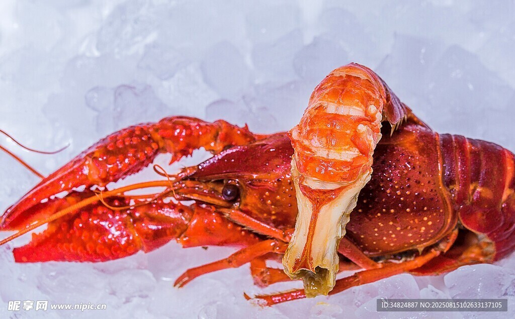 鲜活大龙虾肉质饱满诱人