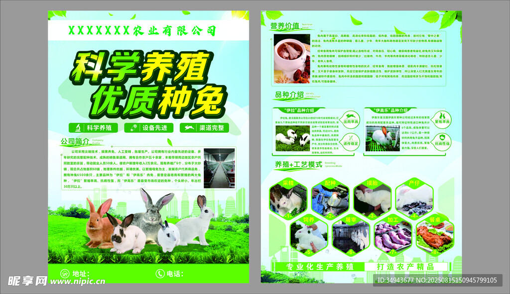 科学养殖宣传页