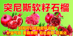 突尼斯软籽石榴