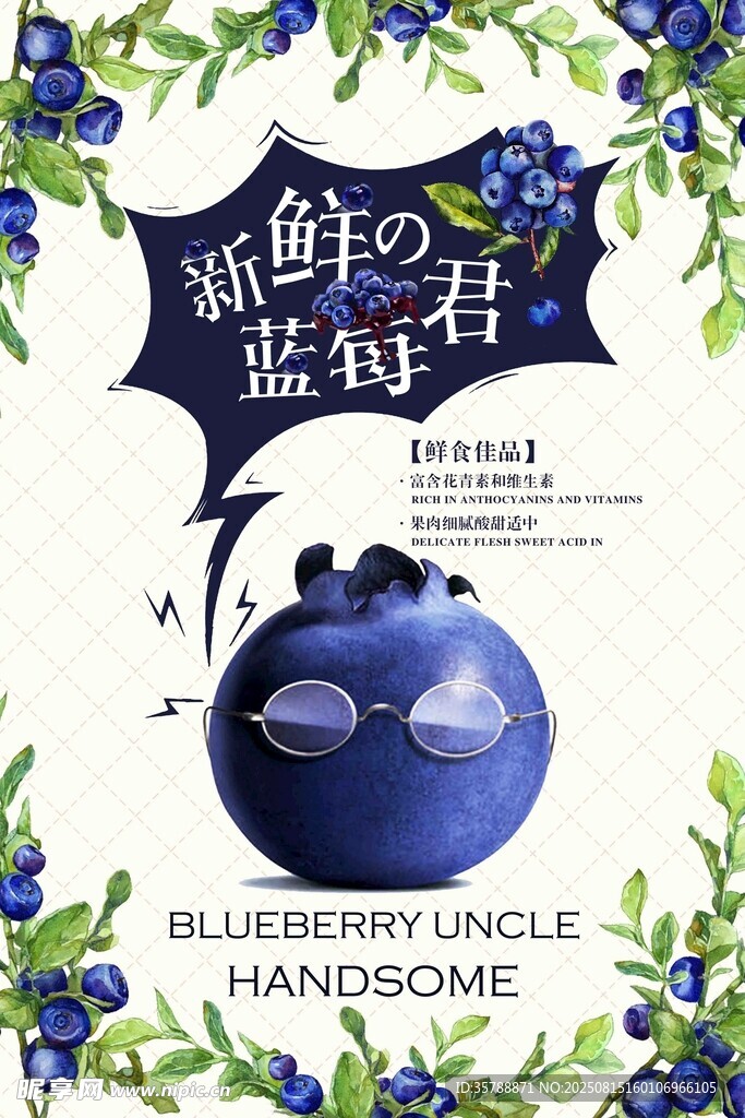 蓝莓大叔新鲜蓝莓产品