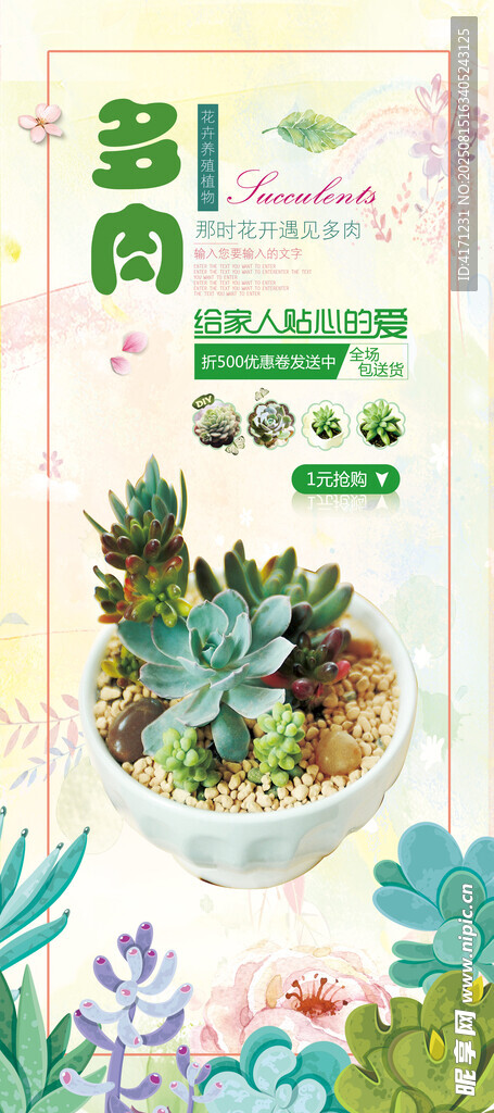 多彩多肉植物盆栽
