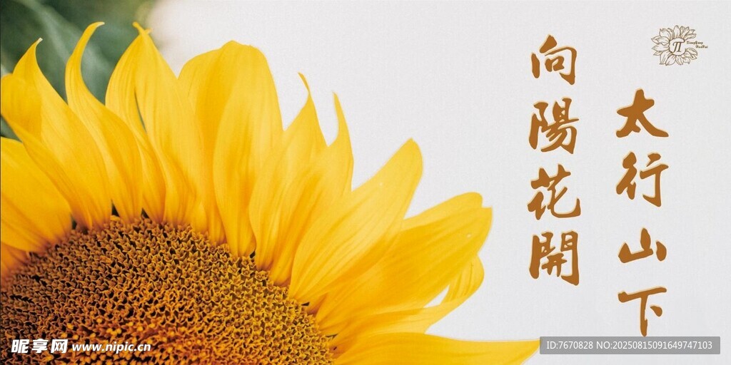 向日葵