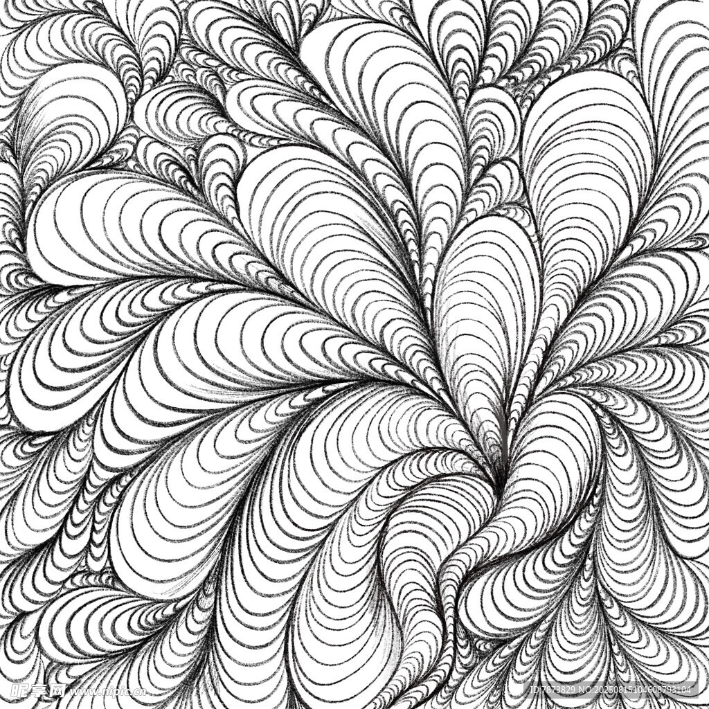 花纹