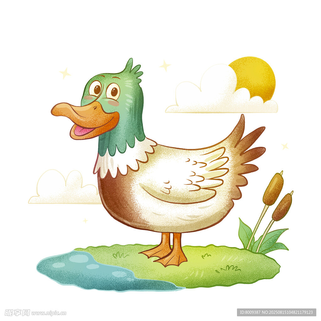 站在草地的彩色鸭子