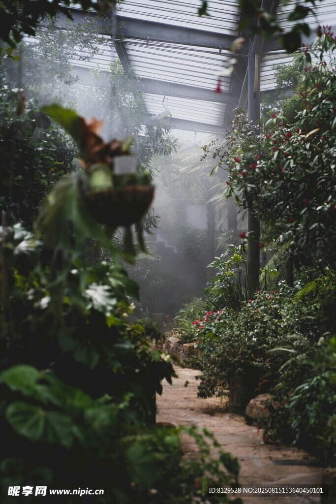 温室中的绿植小径