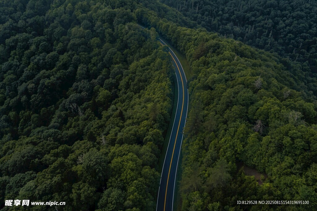 蜿蜒公路穿行翠绿山林