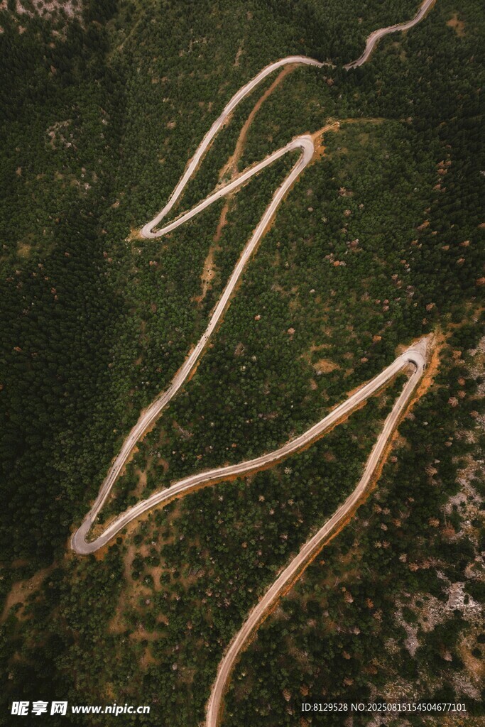 蜿蜒山路穿梭于葱郁山林