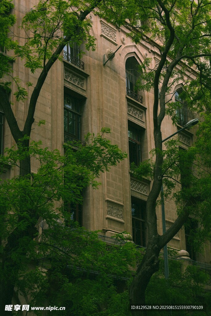 绿树环绕的古朴建筑