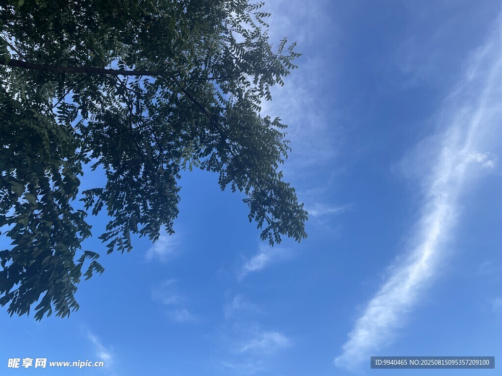 蓝天绿树间的美丽景致
