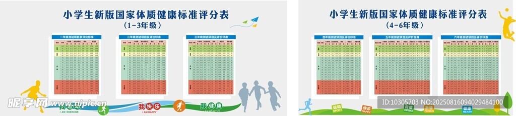 小学生新版国家体质健康标准评分
