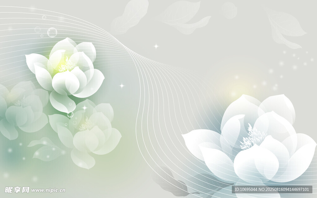 淡雅白花 清新自然之景