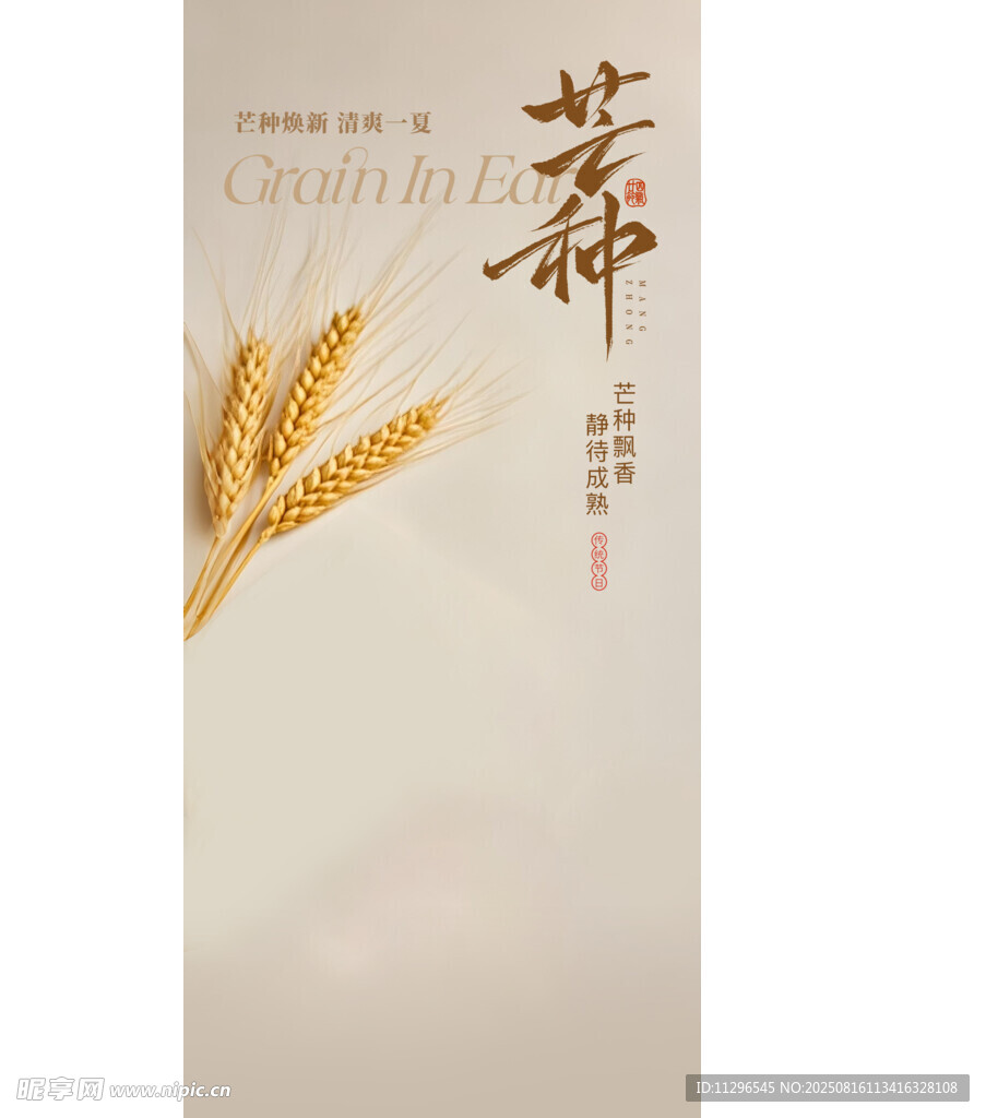 芒种节气海报