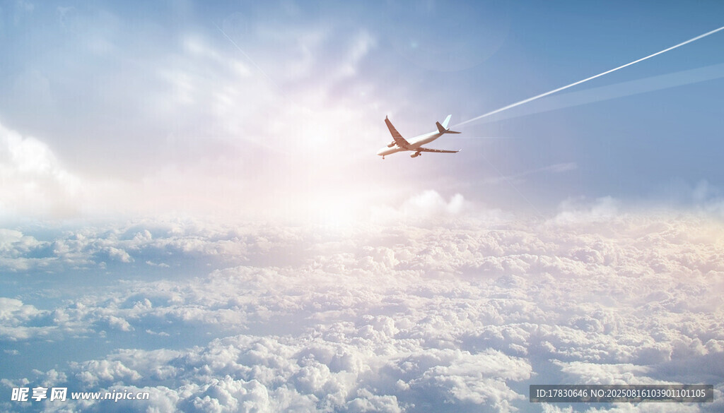 高空翱翔的飞机