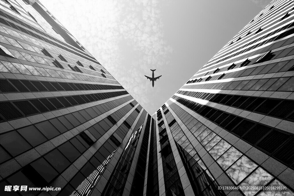 仰视城市高楼与空中飞鸟
