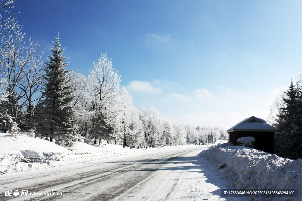 冬日雪景中的宁静乡村道路