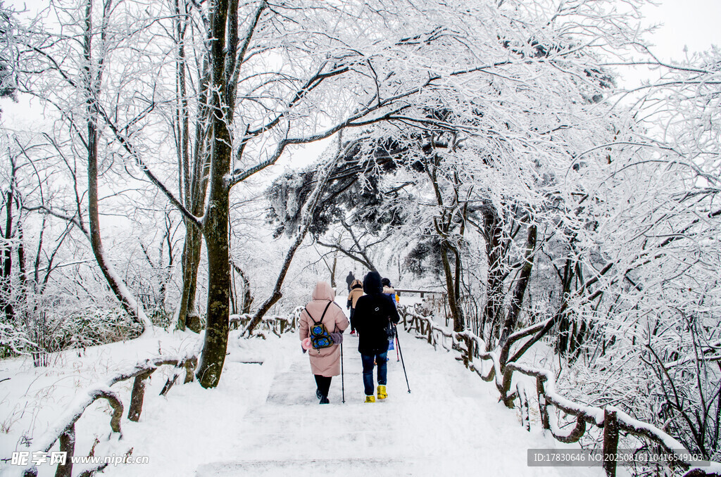 雪中小径上的温馨家庭行