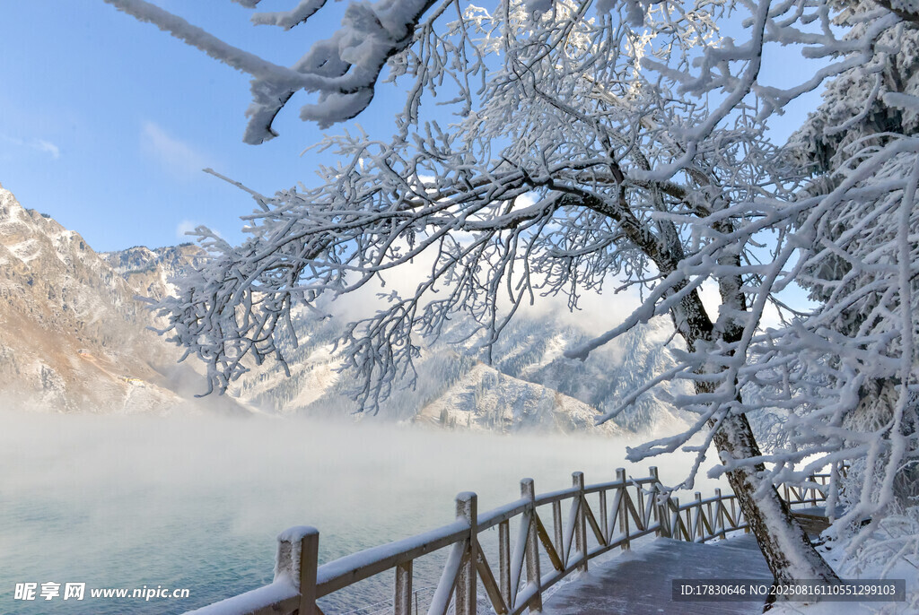 冬日雪后湖畔美景