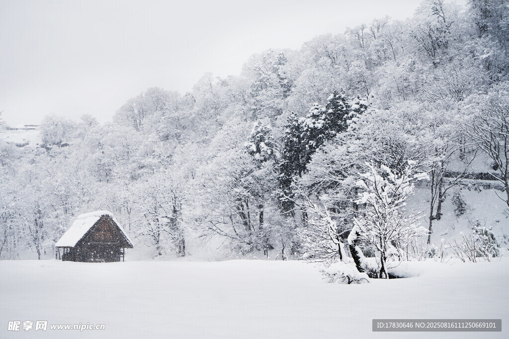 雪覆山林中的小屋