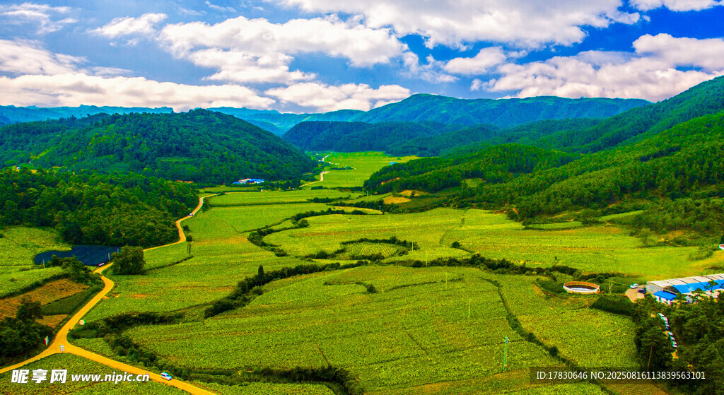 绿野山间美景