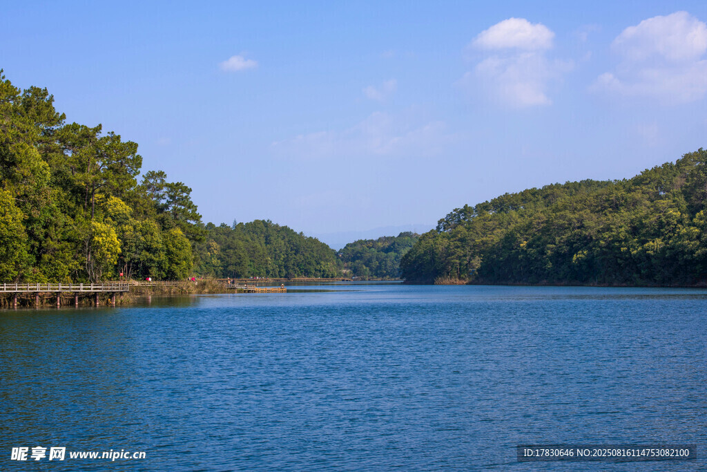 宁静湖畔绿意环绕的美景