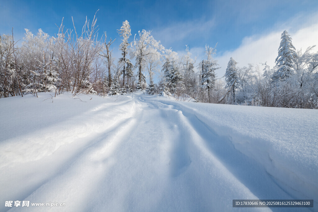 吉林长白山雪地车辙印
