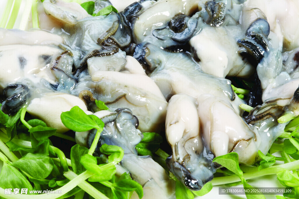 新鲜生蚝肉配翠绿蔬菜