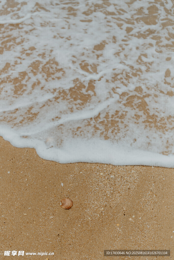 沙滩上的海浪与小贝壳