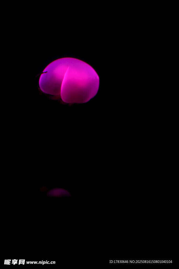 粉色悬浮球体视觉特效