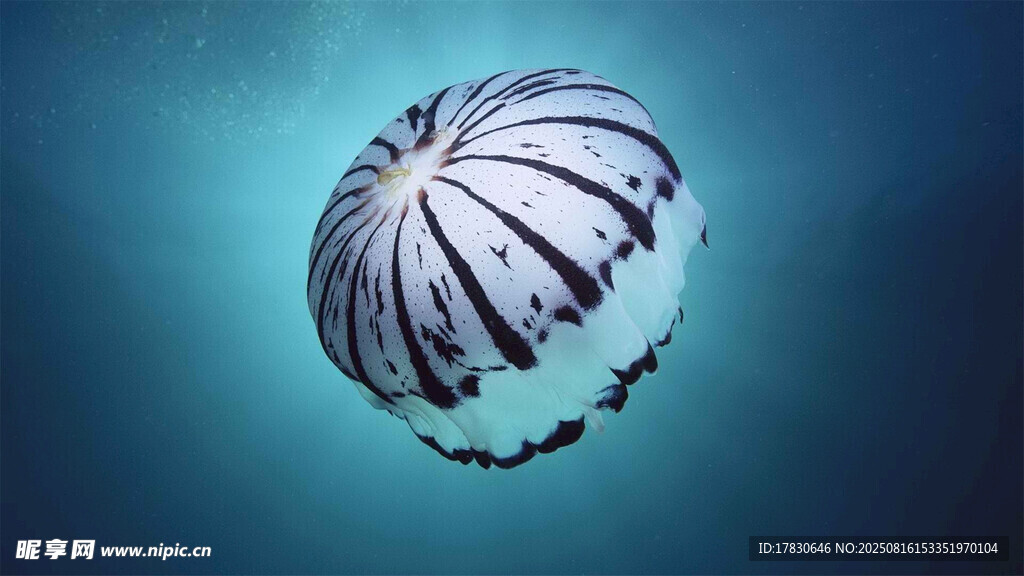 空中降落的条纹降落伞