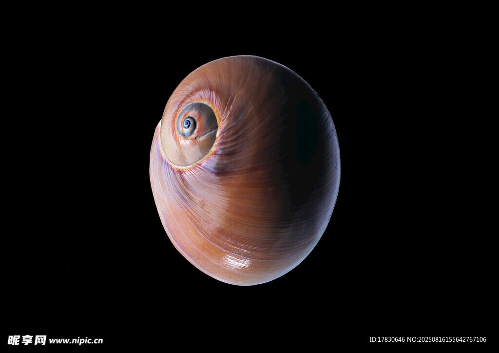 火星特写