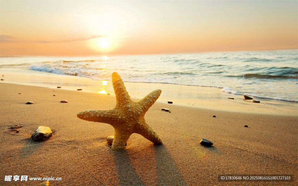 海滩上的海星与落日美景