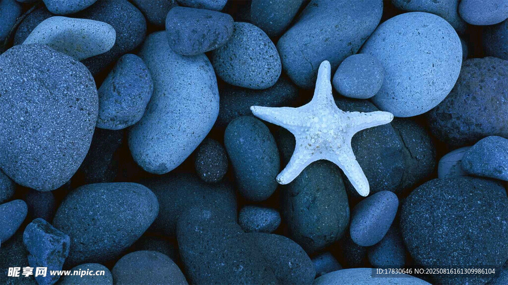 蓝色石滩上的白色海星