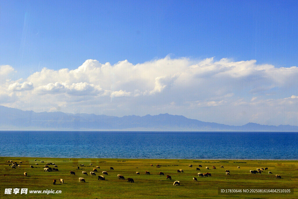 草原湖畔美景