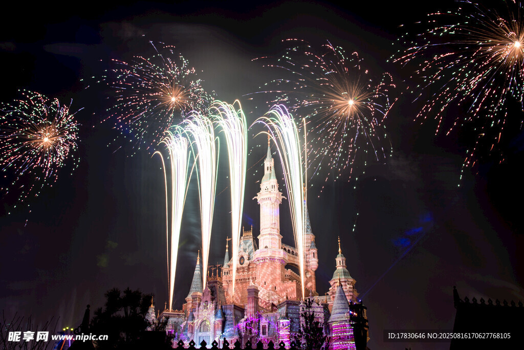 迪士尼城堡烟花璀璨夜景
