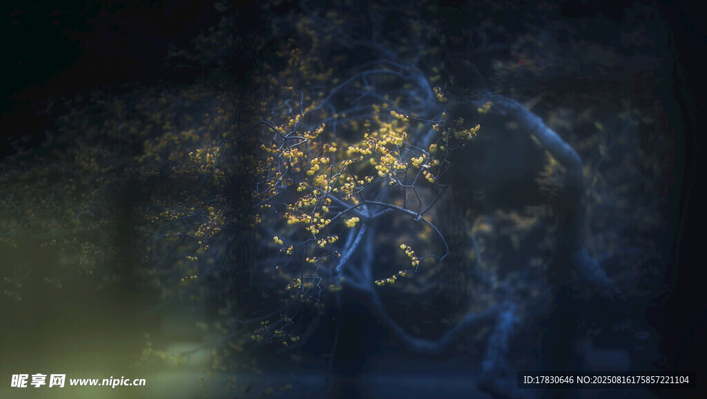 梦幻蓝紫光影中的神秘景象