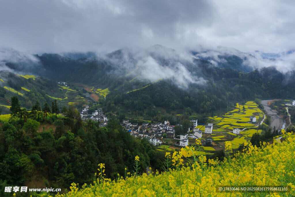 山间村落油菜花美景