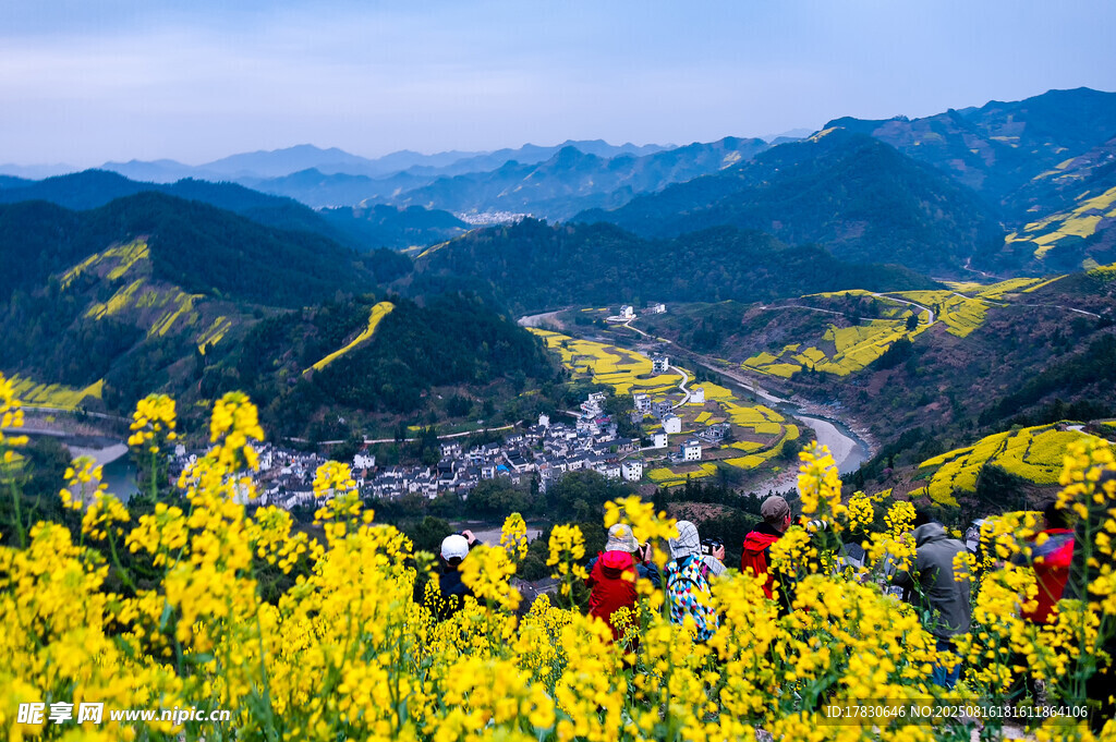山间油菜花海中的村落