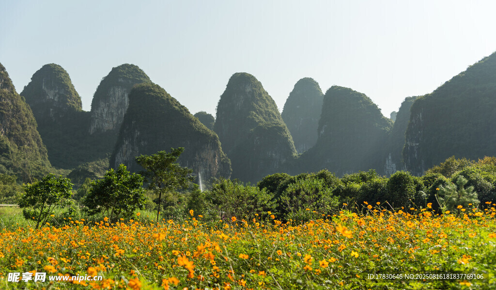 山间花海与秀丽峰林