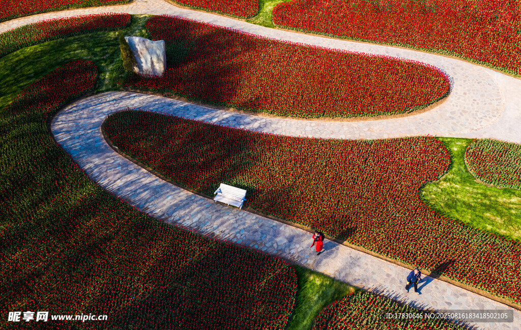 空中俯瞰蜿蜒步道景观