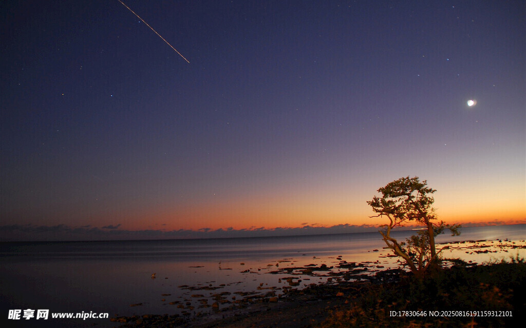 海边孤树伴日月星空