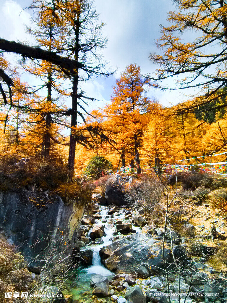 秋日山林溪流美景
