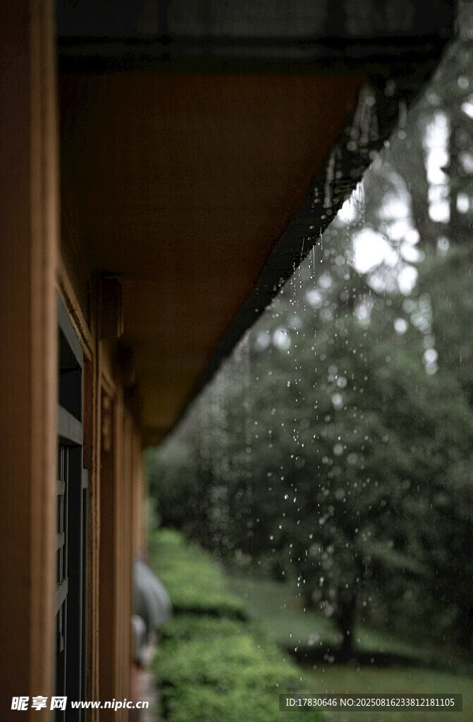 窗边望外的绿意景致