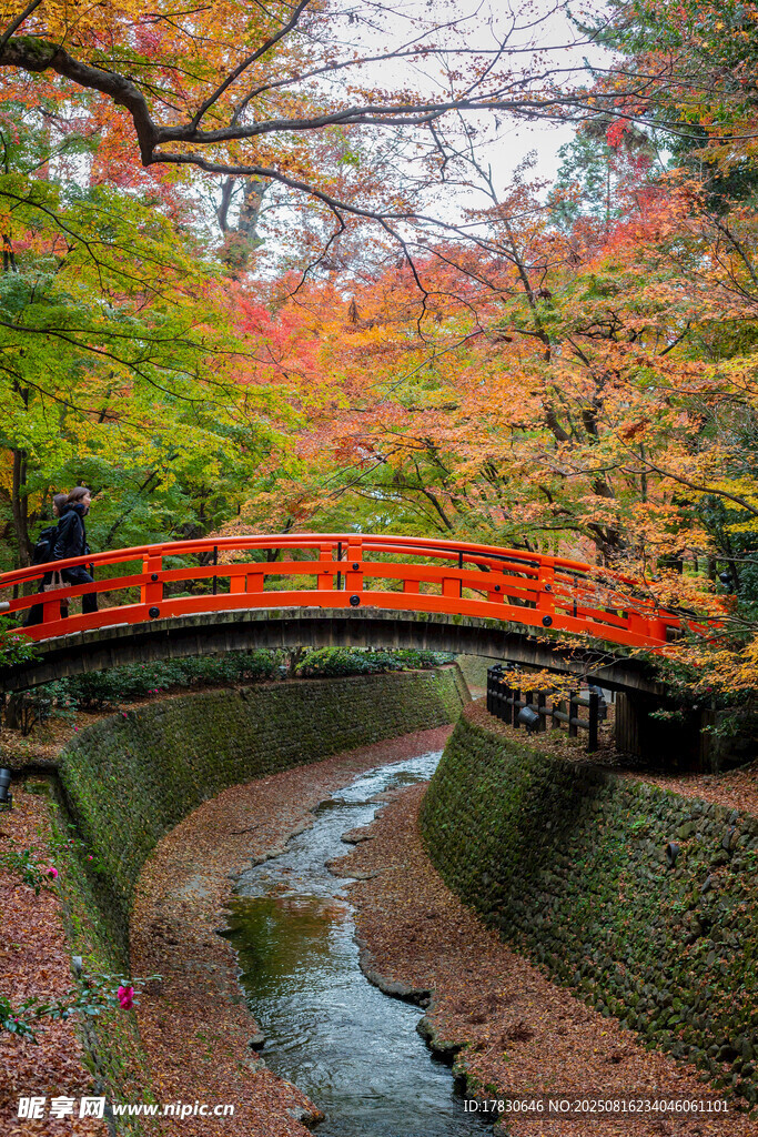 秋日红桥小溪美景