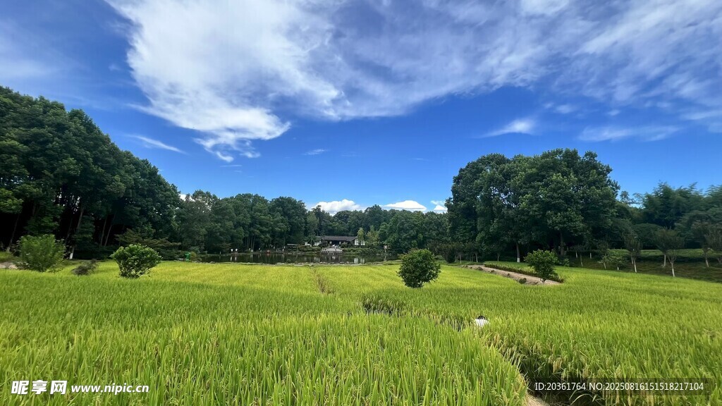 田园风光 绿野蓝天美景