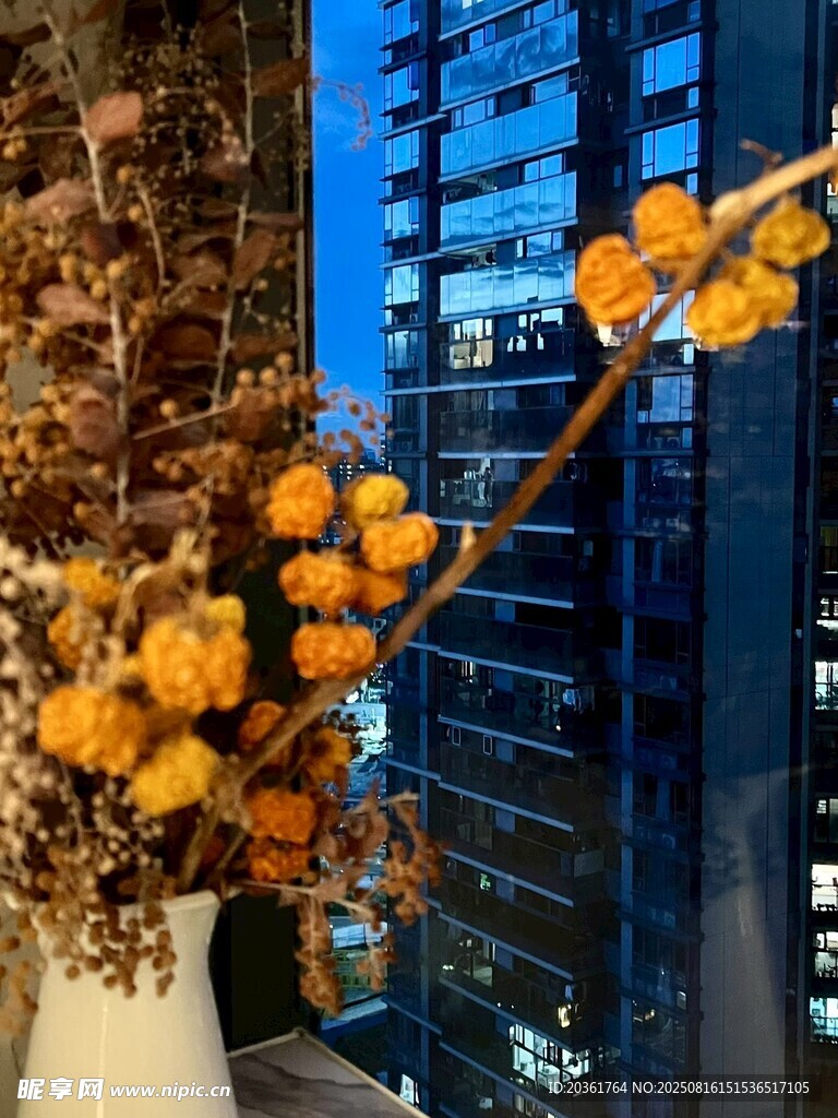 窗边橙花装点雅致景致