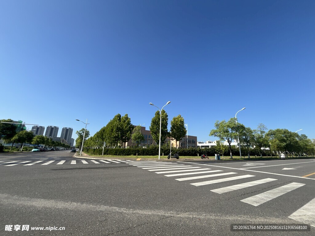 城市道路与绿树景观