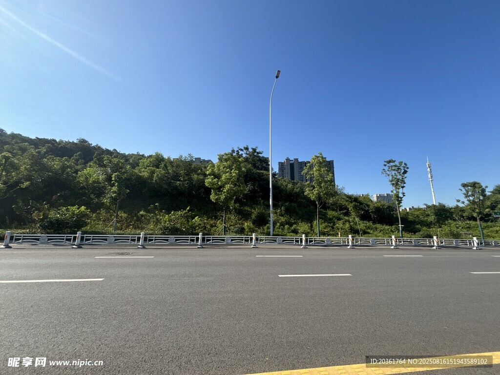 宽阔公路旁的葱郁树林
