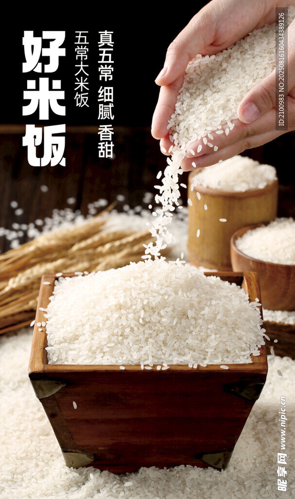 双手捧撒优质好米饭