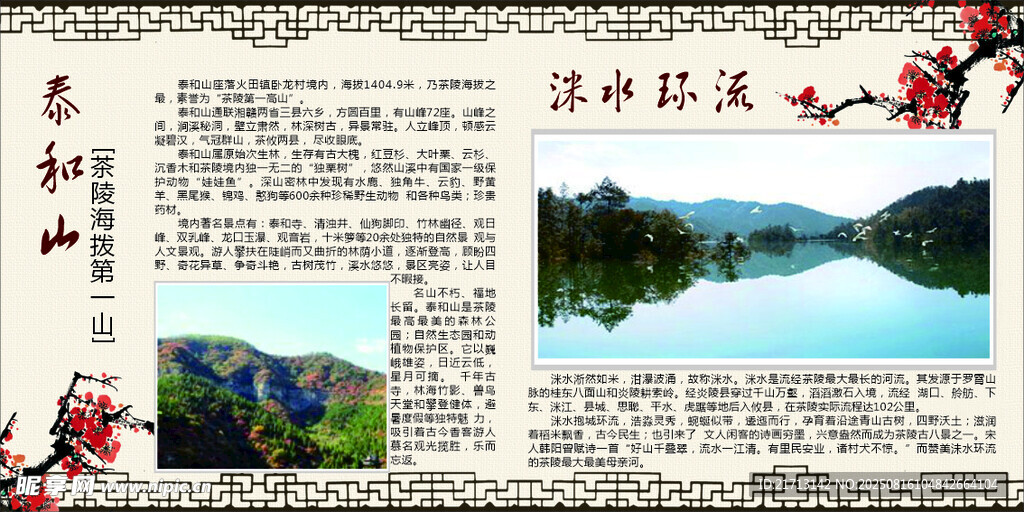 泰和仙